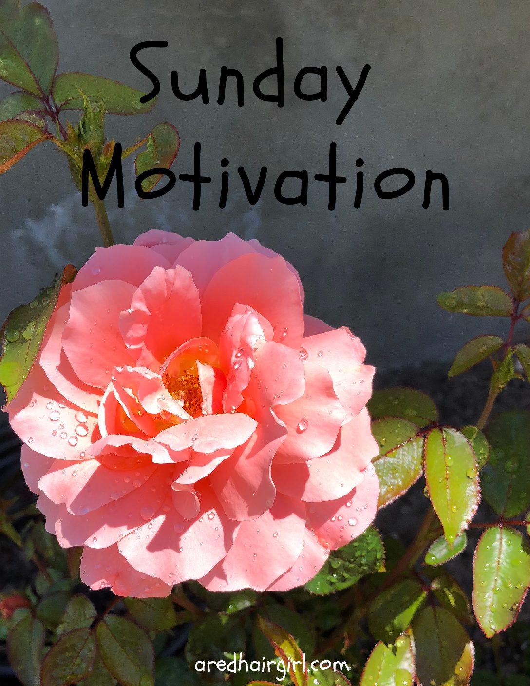 Sunday Motivation: Life and Hope