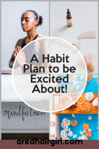 a habit plan