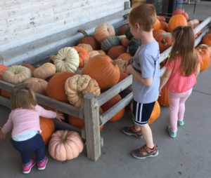 kids picking pumpkins 2017